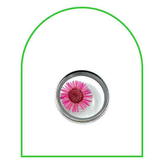 Charmbitz | Pink Daisy